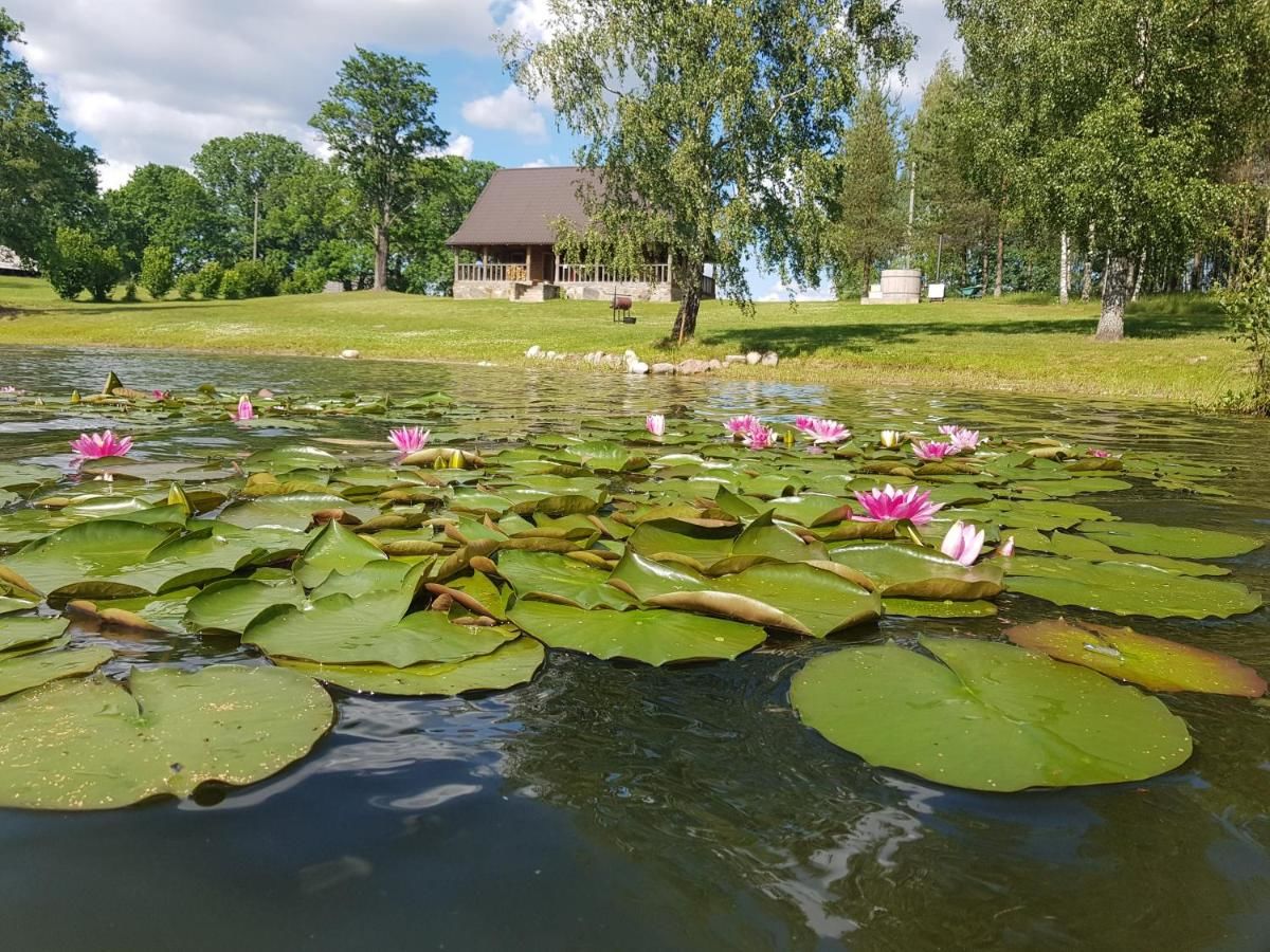 Дома для отпуска Brīvdienu māja 